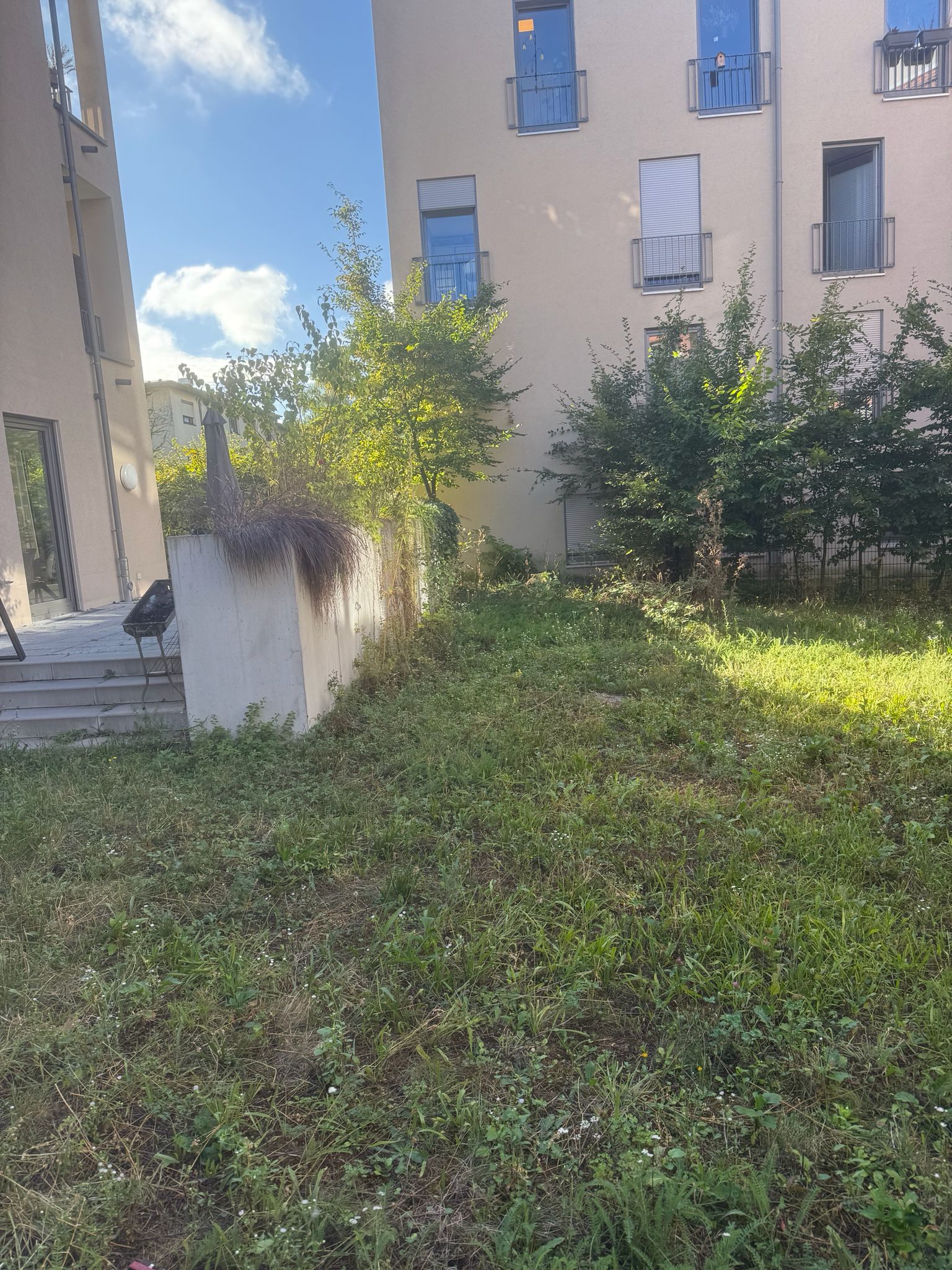 Vorher: Garten